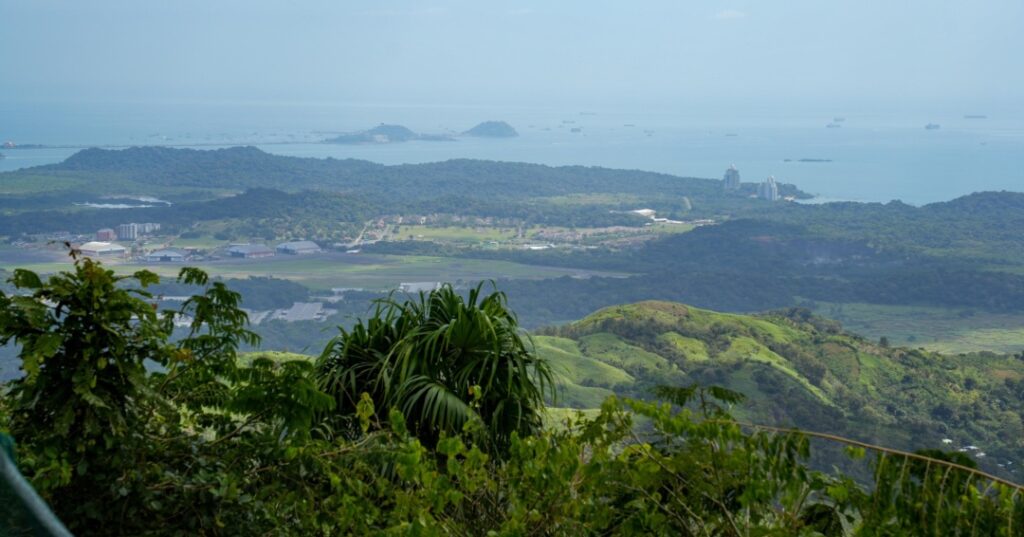 Fundación Happy Green