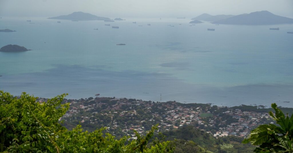 Fundación Happy Green