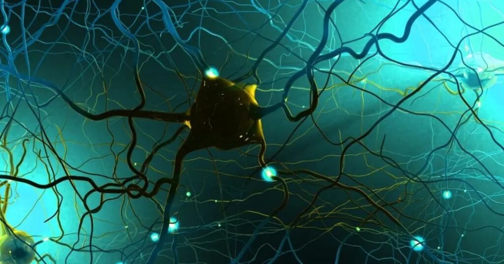 Terapia génica contra el dolor