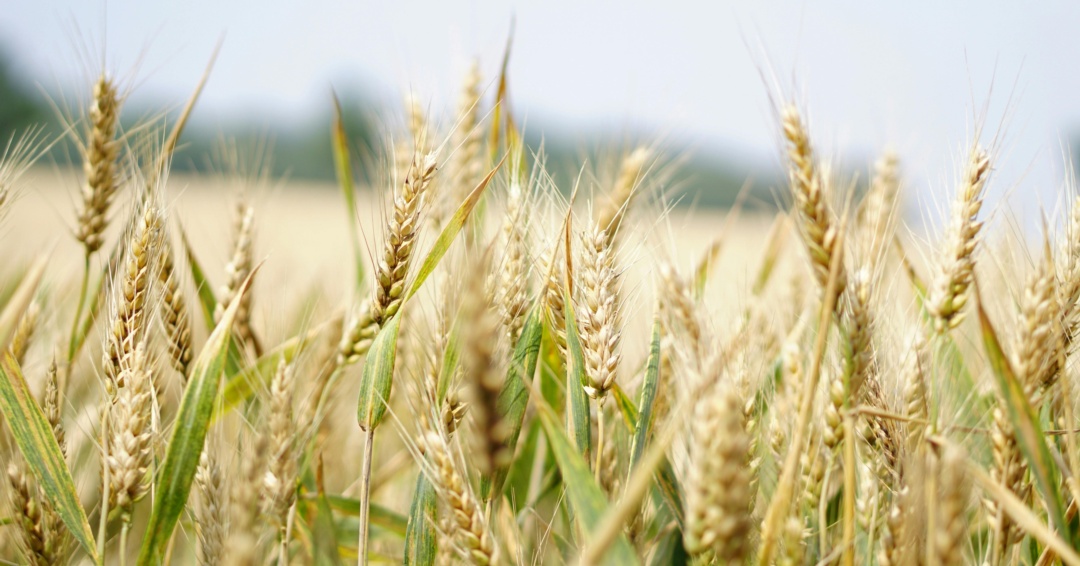 JORNADA CIENTÍFICA FRANCO PANAMEÑA