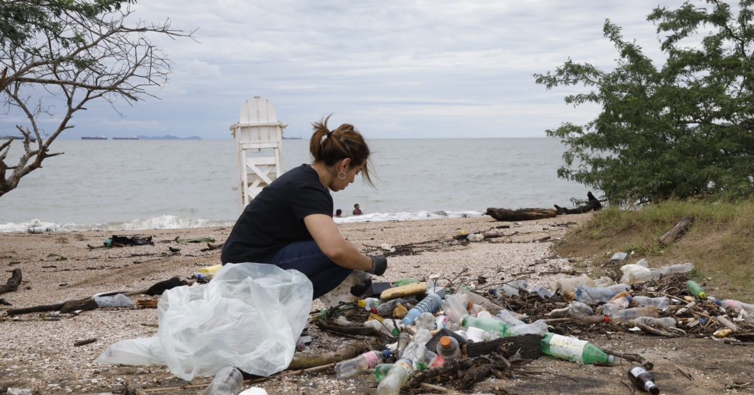 Consulta pública de Miambiente