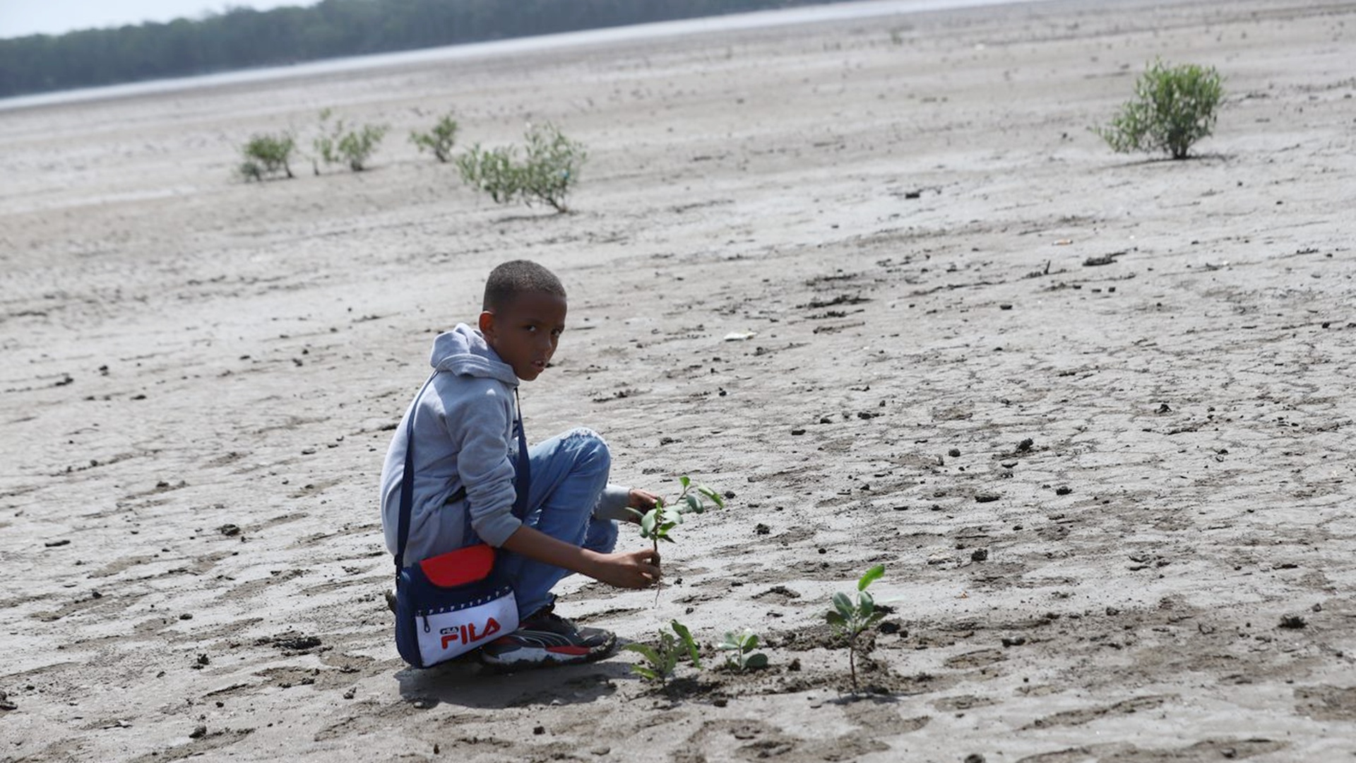 Consulta pública de MiAMBIENTE