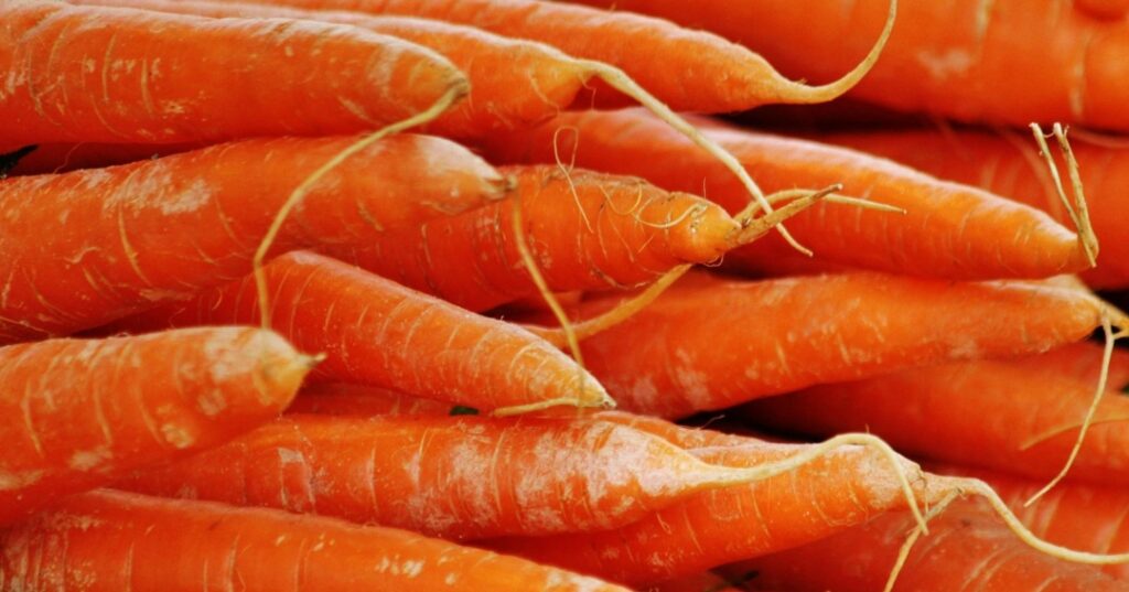 Estrategia Agropecuaria de CAF