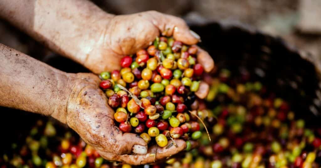 Estrategia Agropecuaria de CAF