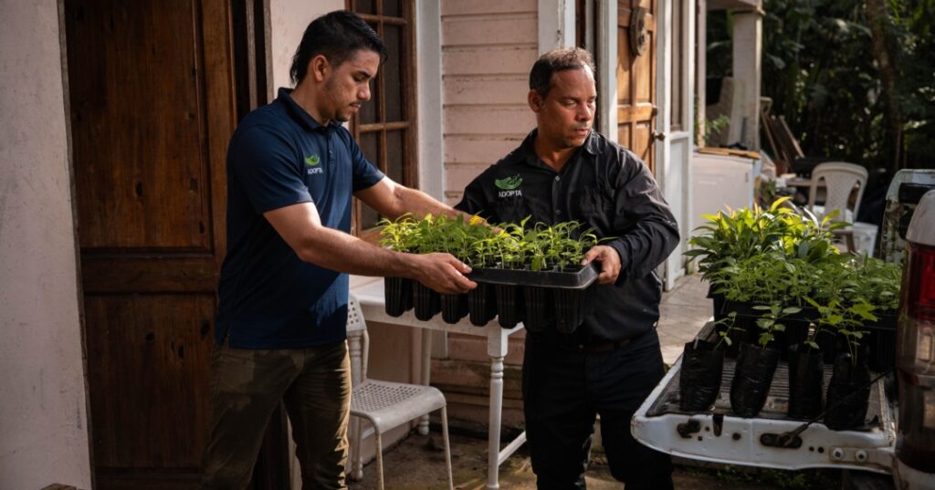 Donativos ambientales Ford 2025