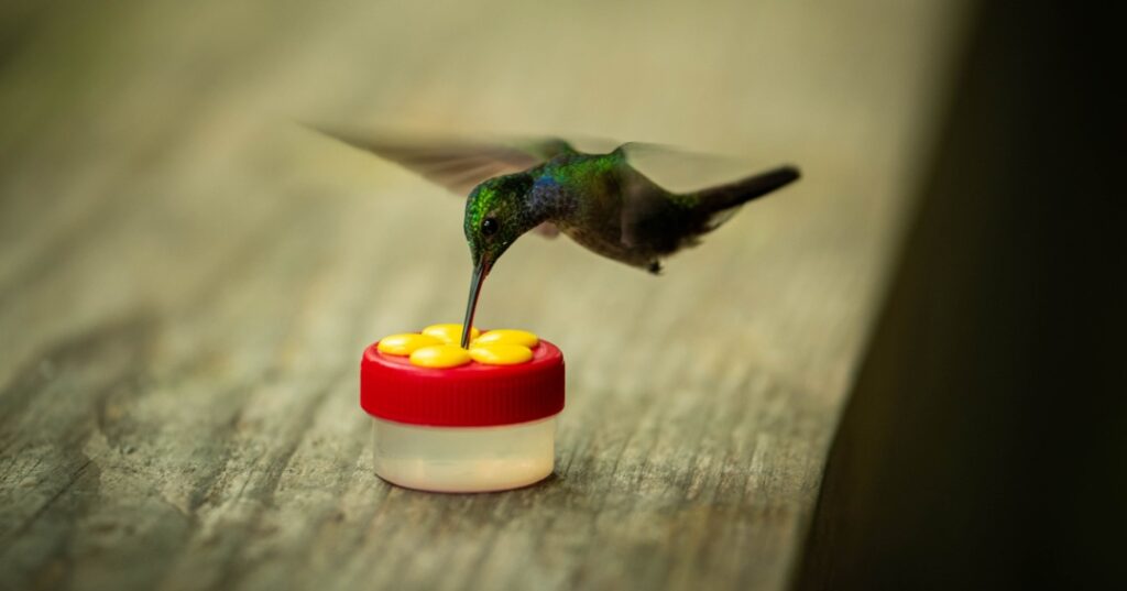 Donativos ambientales Ford 2025