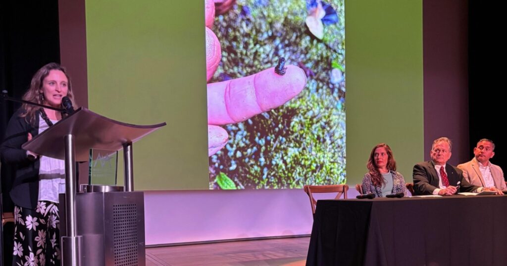 Avances ambientales en Panamá