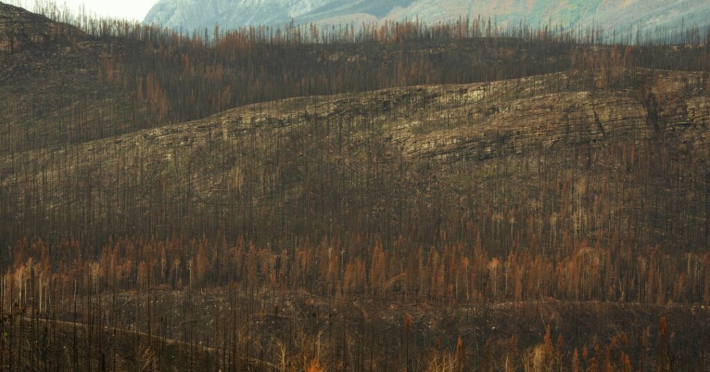 Crisis climática vs capitalismo (11)
