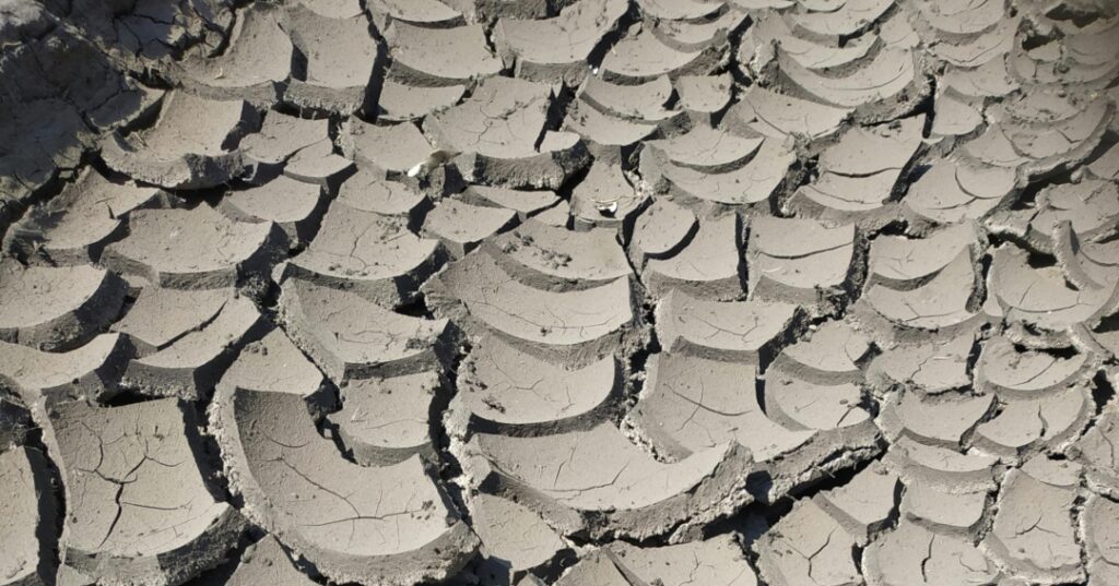 Crisis climática vs capitalismo