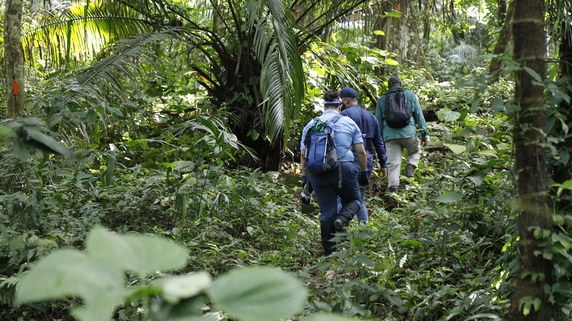 MiAMBIENTE en semana santa
