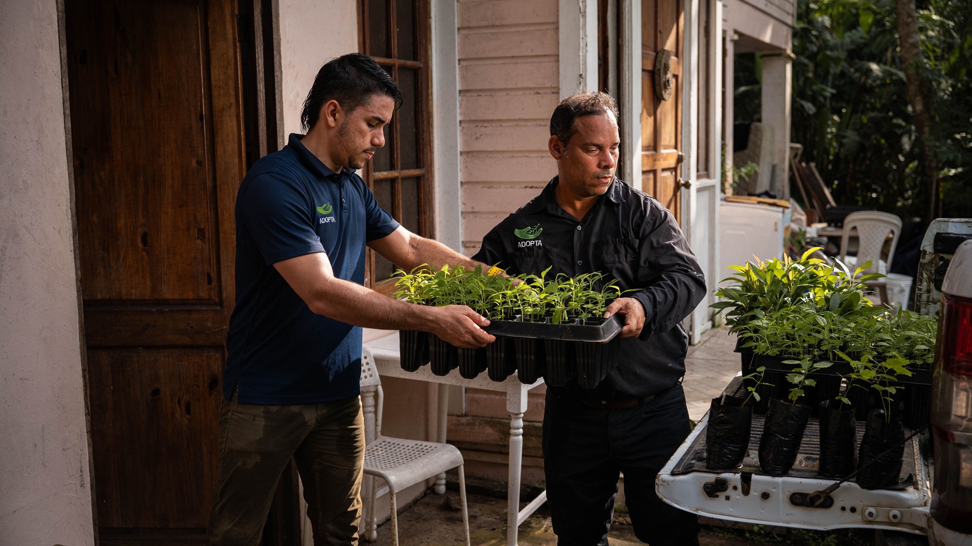 Donativos ambientales Ford 2025