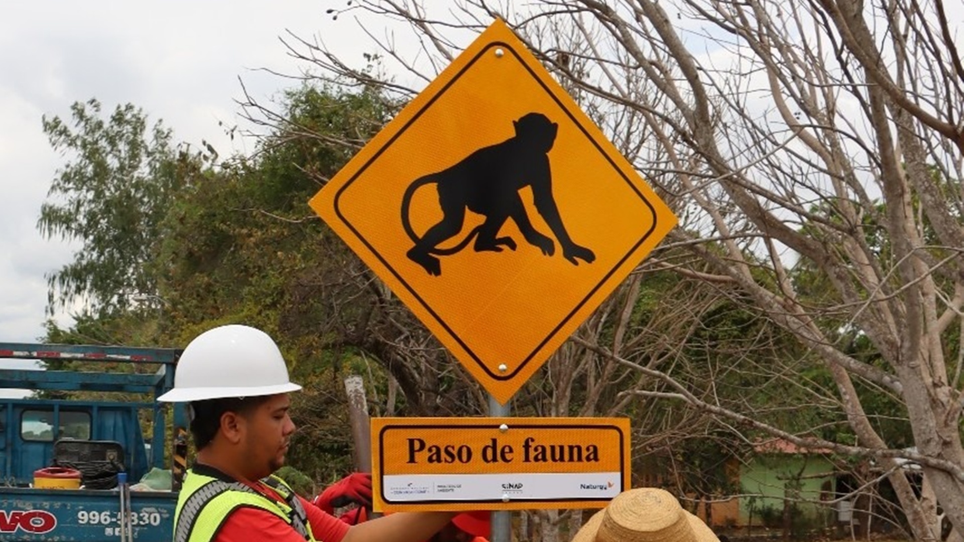 pasos aéreos para la fauna silvestre