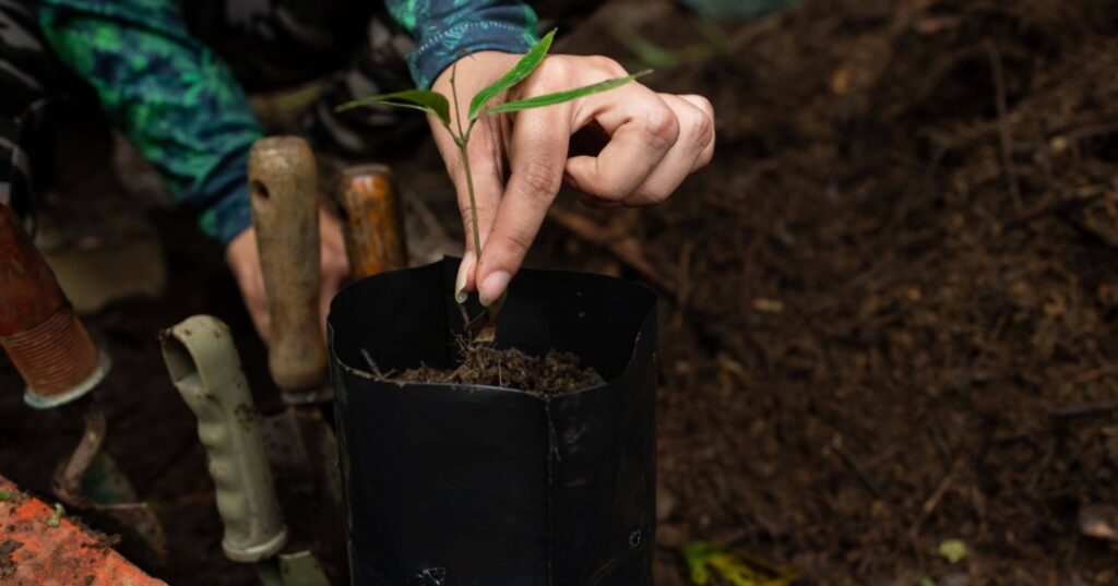 Donativos ambientales Ford 2025