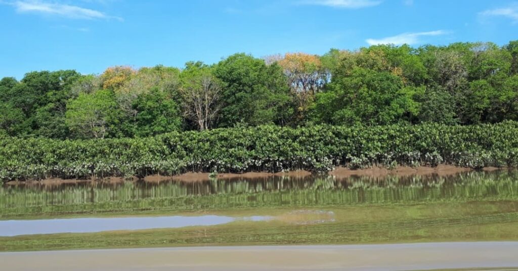Humedales de Matusagaratí