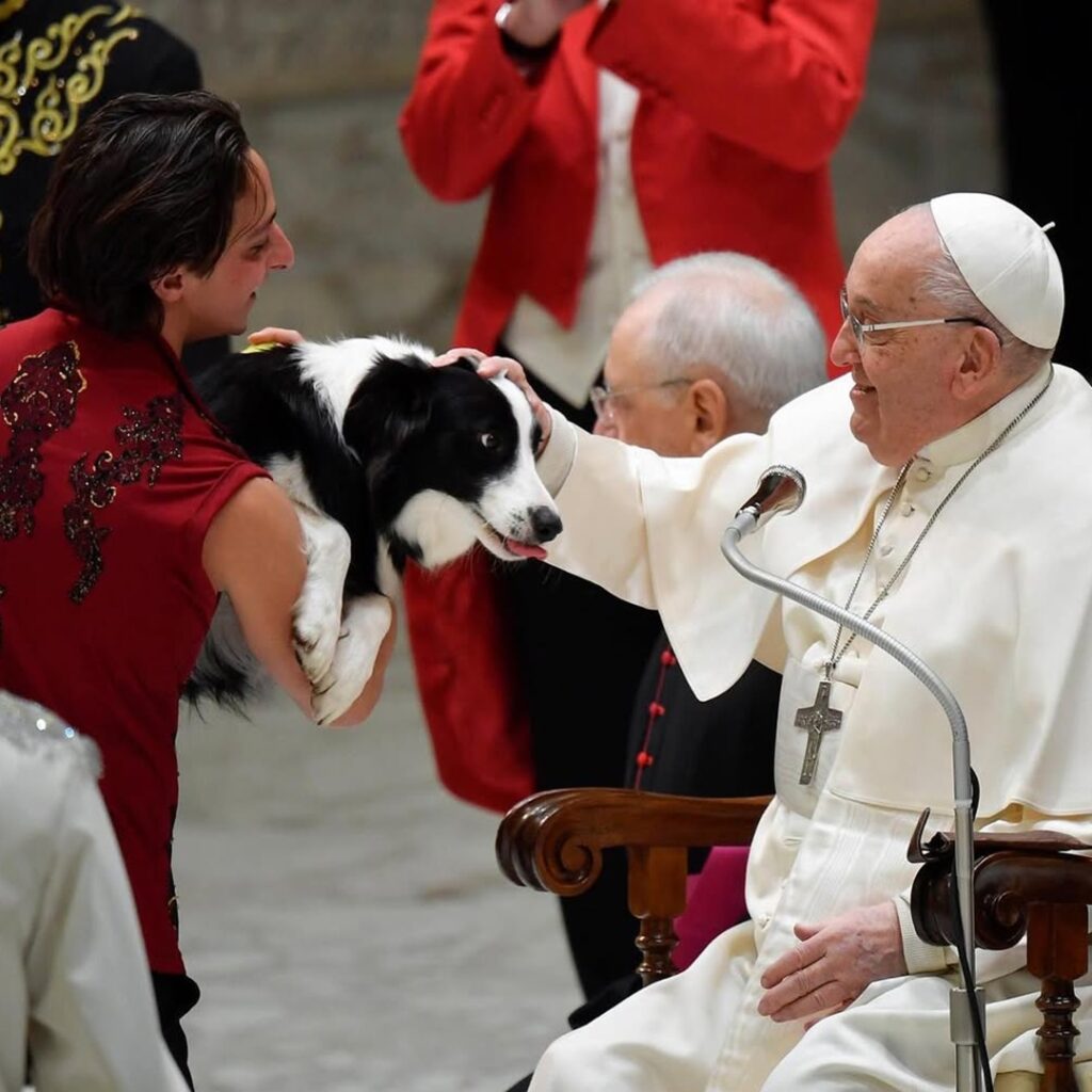 Papa Francisco Papa sostenible