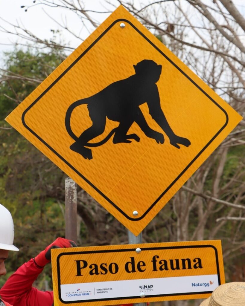 pasos aéreos de fauna silvestre
