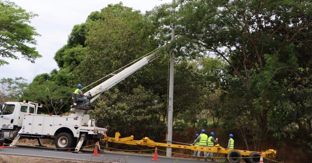 pasos aéreos para la fauna silvestre