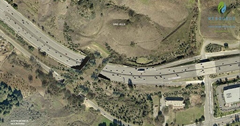 paso de fauna Wallis Annenberg