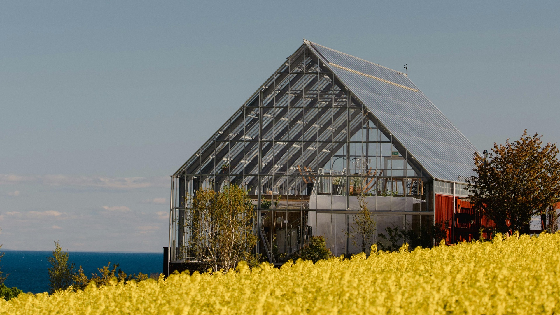 Energía a partir de residuos
