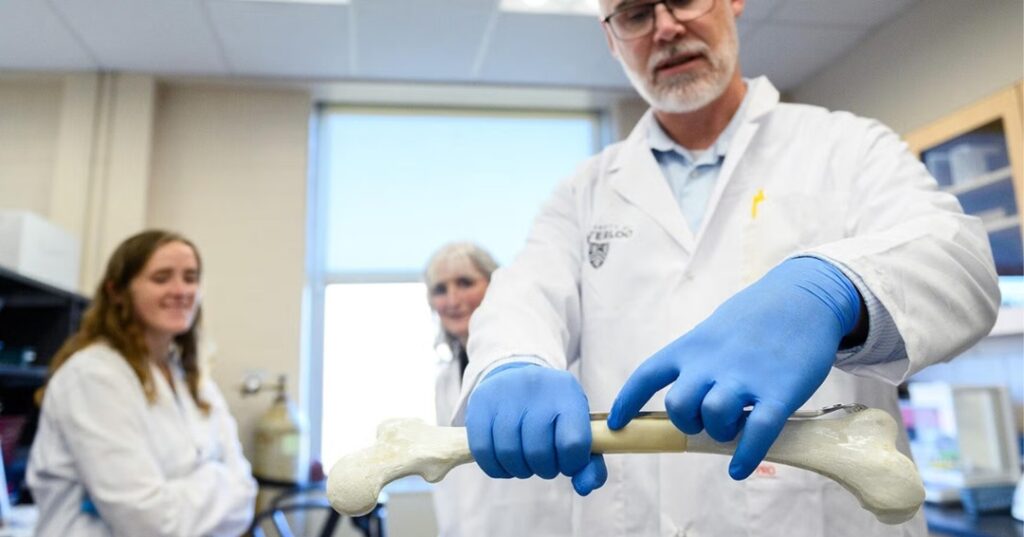 Huesos impresos en 3D