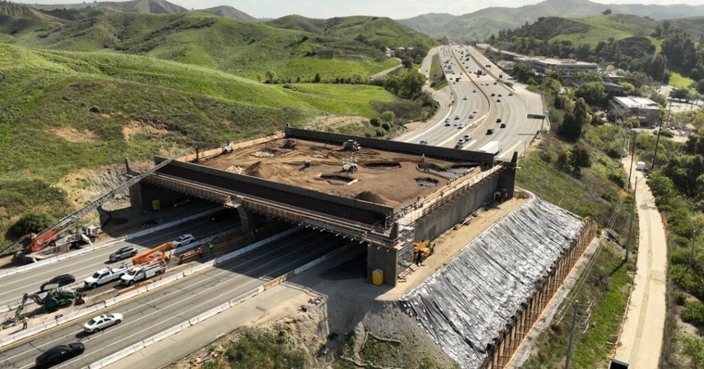 paso de fauna Wallis Annenberg