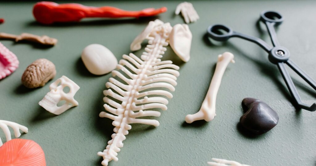 Huesos impresos en 3D