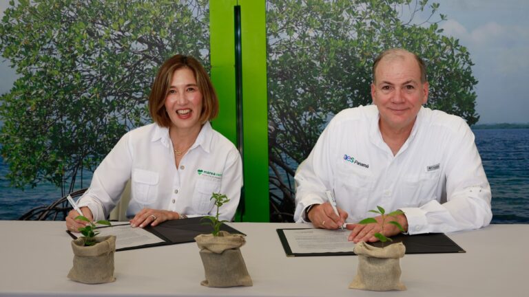 Fundación AES Proyecto Siete Cuencas