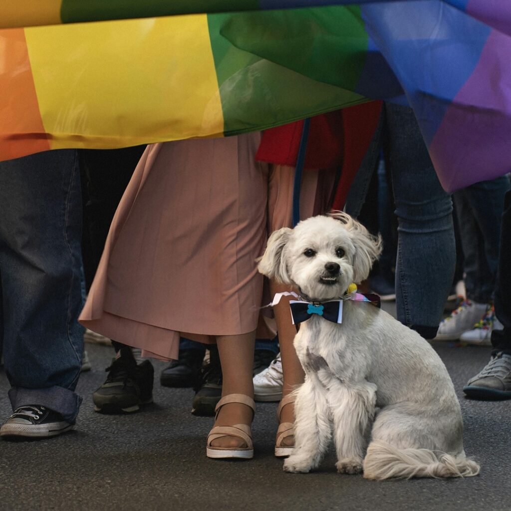 21 años de Orgullo en Panamá