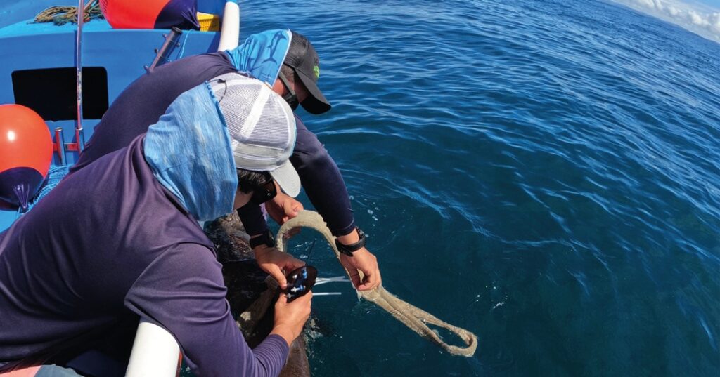 Monitoreo satelital marino