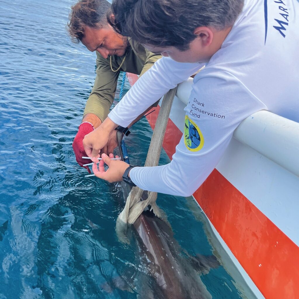 Monitoreo satelital marino