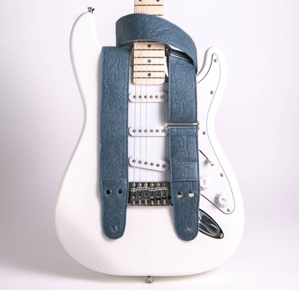 biomateriales sustentables