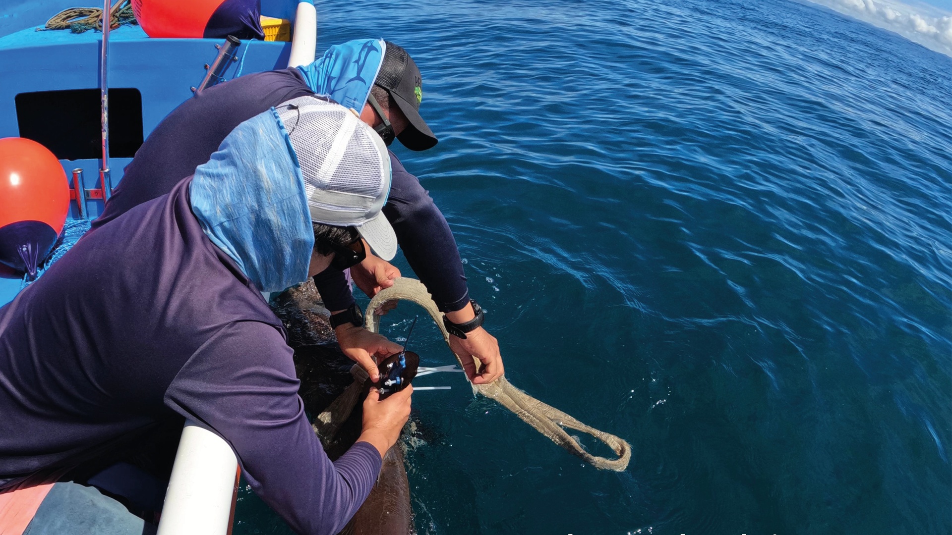 Monitoreo satelital marino