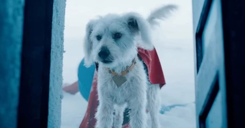 Krypto y las adopciones