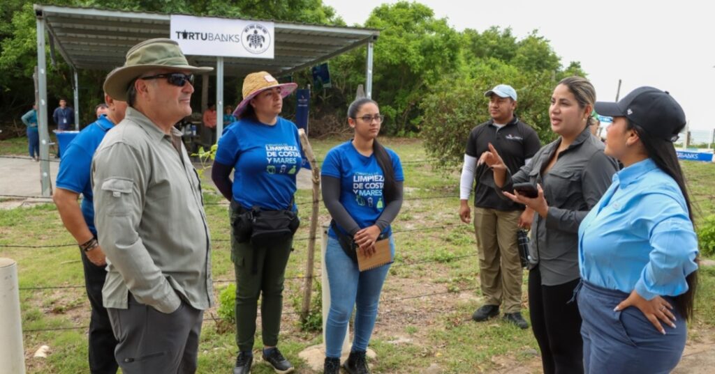 Campaña protección de tortugas marinas