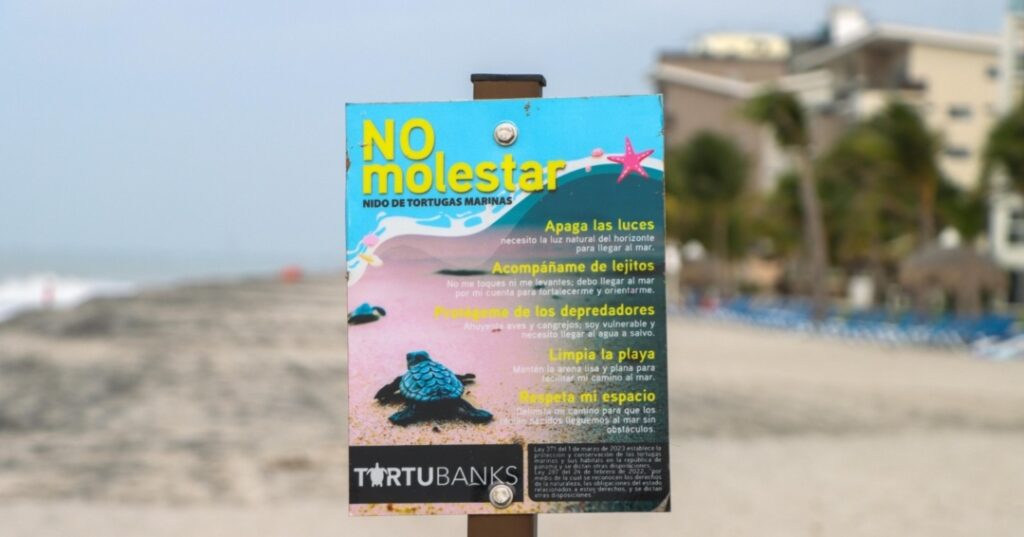 Campaña protección de tortugas marinas