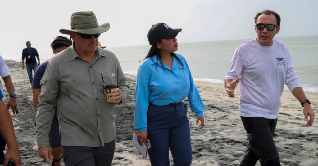 Campaña protección de tortugas marinas