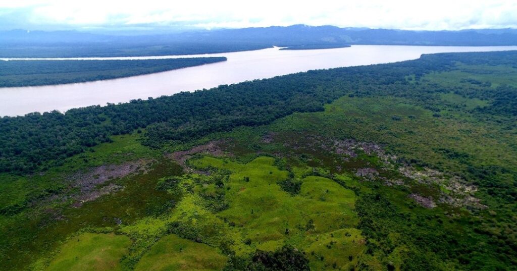 Complejo de Humedales de Matusagaratí