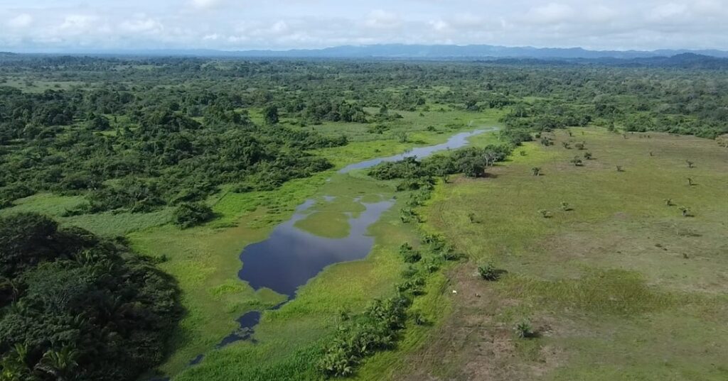 Complejo de Humedales de Matusagaratí