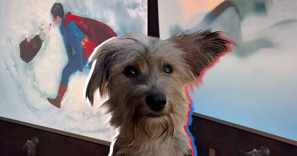 Krypto y las adopciones