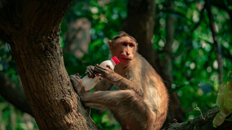 Contaminación por plásticos