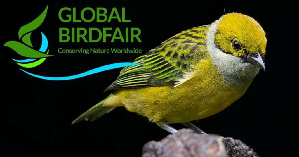 Panamá en el Global Bird Fair