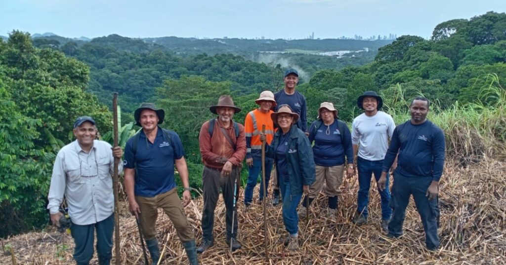 Reforestación en Panamá