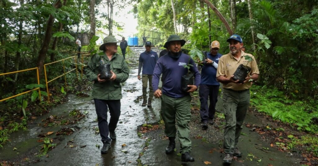 Reforestación en Panamá