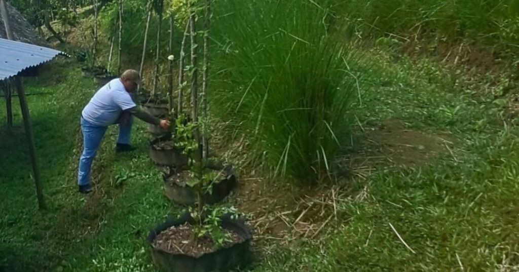 Restauración de suelos en Panamá