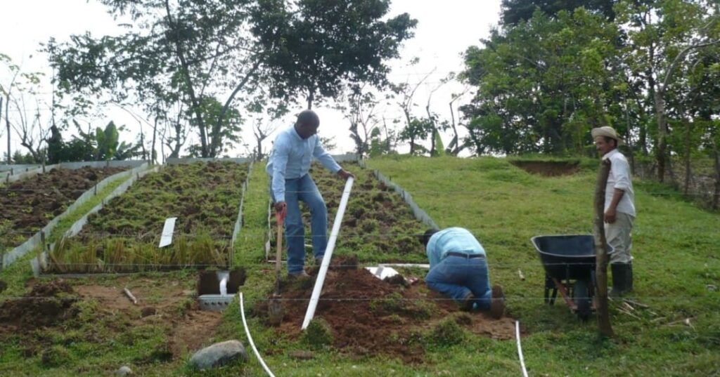 Restauración de suelos en Panamá