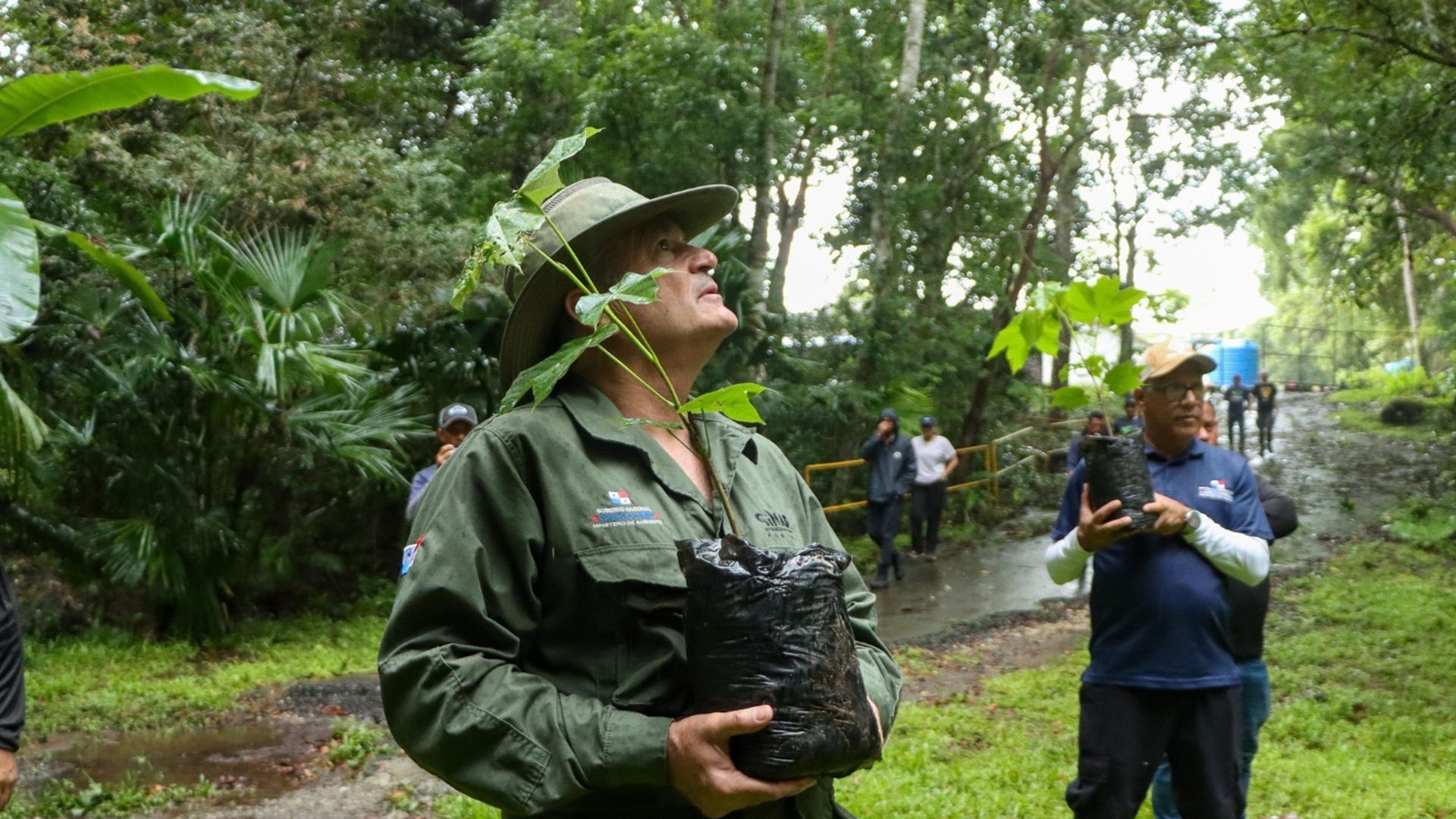 Reforestación en Panamá