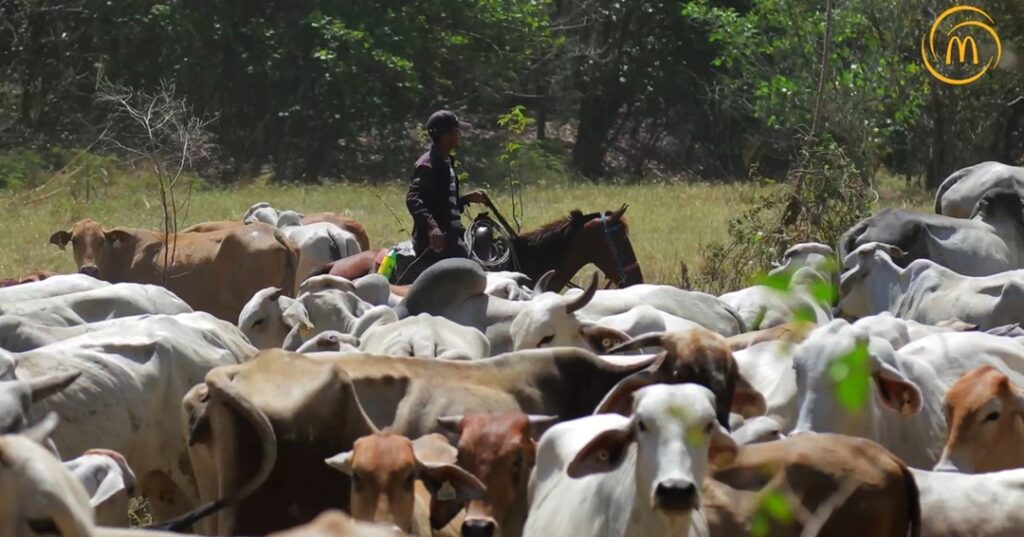 Cadena de valor de Arcos dorados