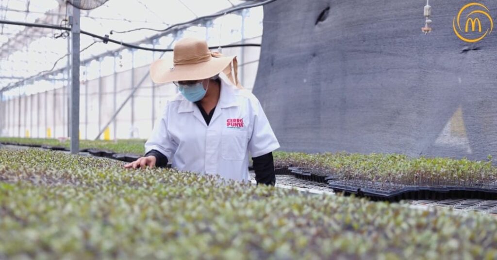 Cadena de valor de Arcos dorados