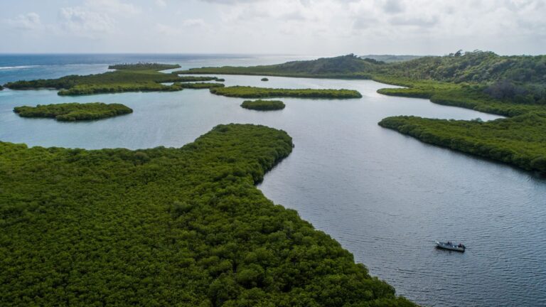 Congreso Regional CCAD