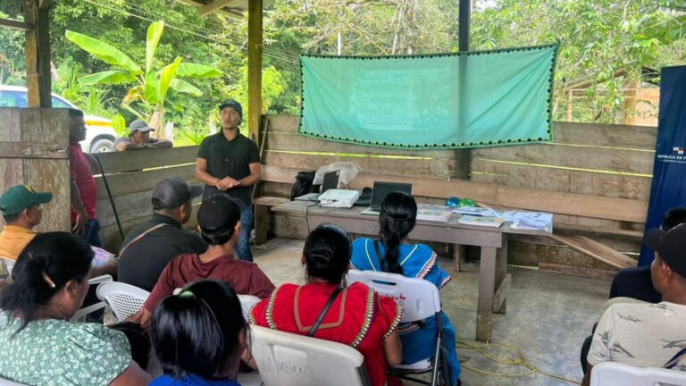 Voluntariado ambiental en Bocas del Toro